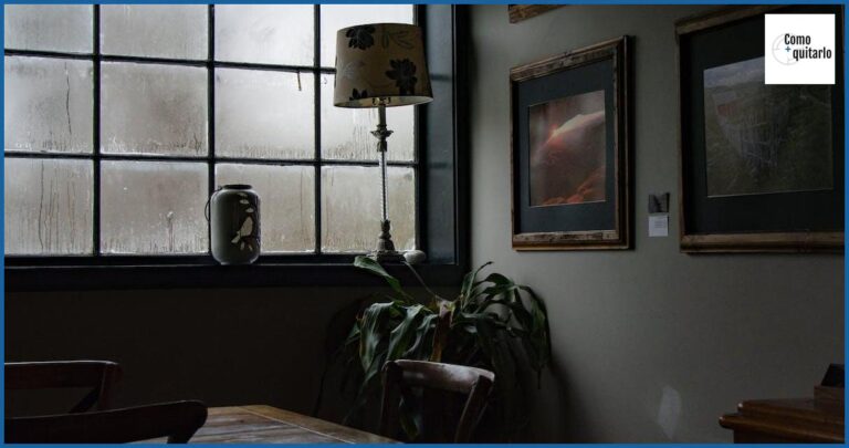 Cómo quitar humedad que sube del suelo en tu hogar Cómo quitar humedad que sube del suelo en tu hogar