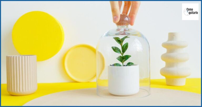 Cómo quitar pegamento de cristal: Guía completa Cómo quitar pegamento de cristal: Guía completa