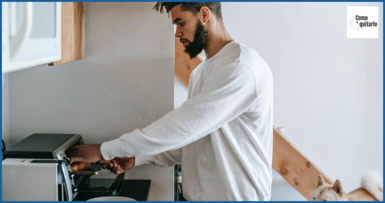 Cómo quitarle el celo a una perra de forma casera Cómo quitarle el celo a una perra de forma casera